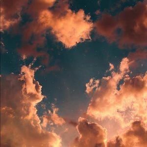 Meet your Posher, Natasha